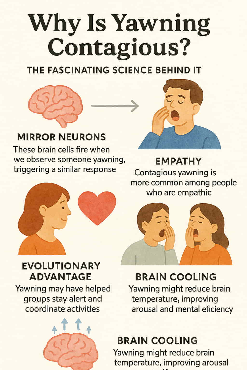 Infographic titled "Why Is Yawning Contagious?" featuring watercolor-style illustrations explaining mirror neurons, empathy, evolutionary advantage, and brain cooling as causes of contagious yawning.