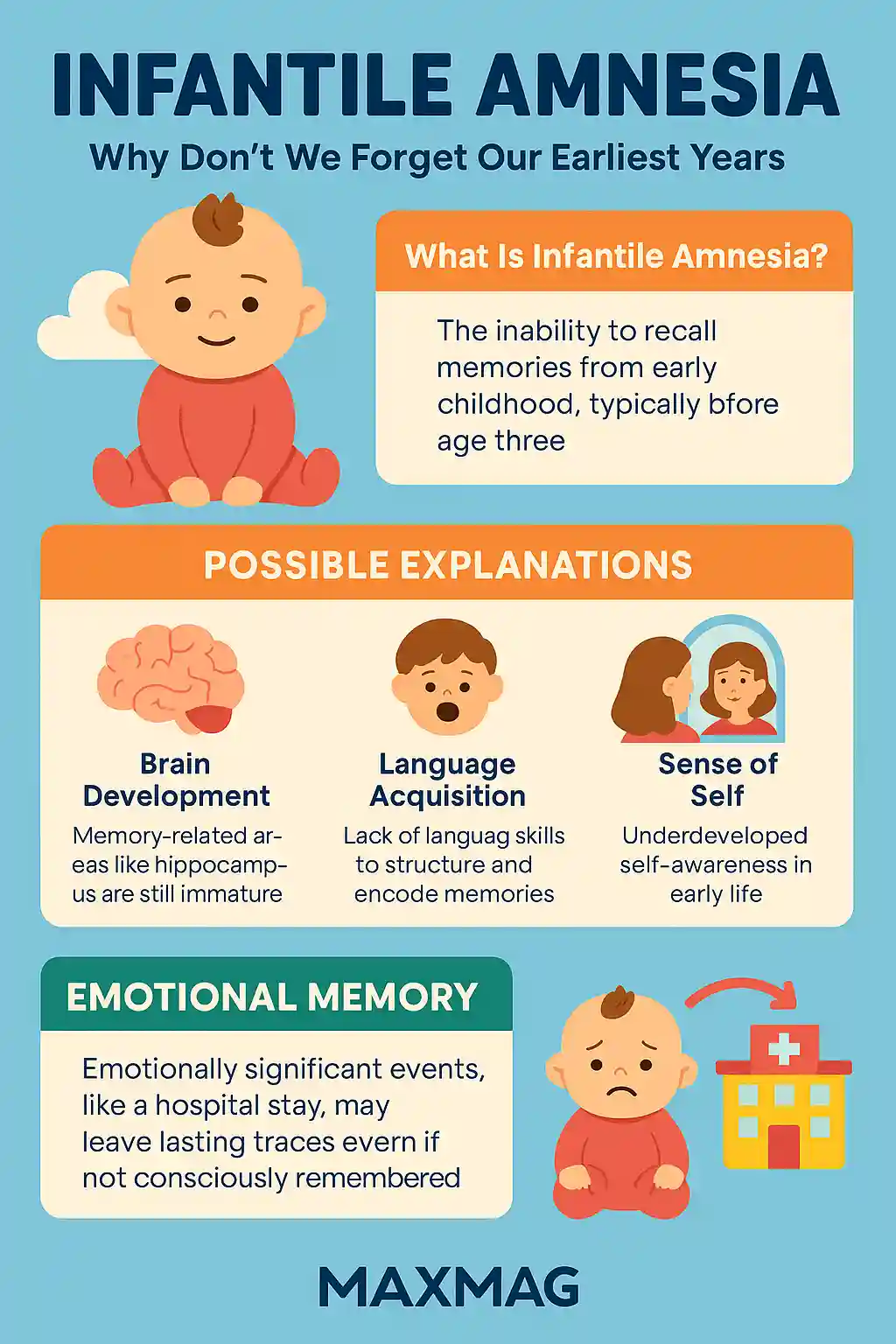 Colorful infographic titled "INFANTILE AMNESIA" displaying key facts about why people cannot recall early childhood memories. Features icons of infants, brain development stages, memory formation processes, and scientific explanations. Includes visuals of neural pathways, age markers, and parenting insights. The MAXMAG logo is clearly shown at the bottom center.
