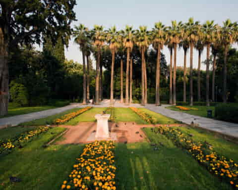 A view of the central walkway at the National Garden in Athens, Greece, featuring tall palm trees, manicured flower beds with yellow blooms, and a stone pedestal under golden evening light
