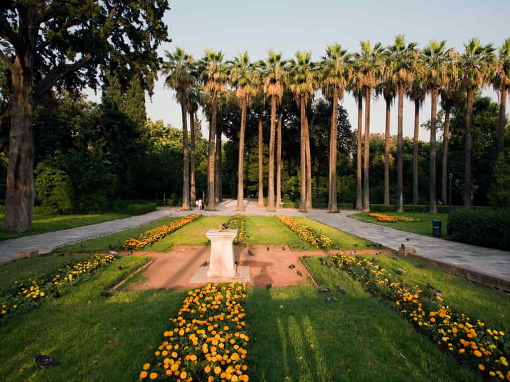 A view of the central walkway at the National Garden in Athens, Greece, featuring tall palm trees, manicured flower beds with yellow blooms, and a stone pedestal under golden evening light