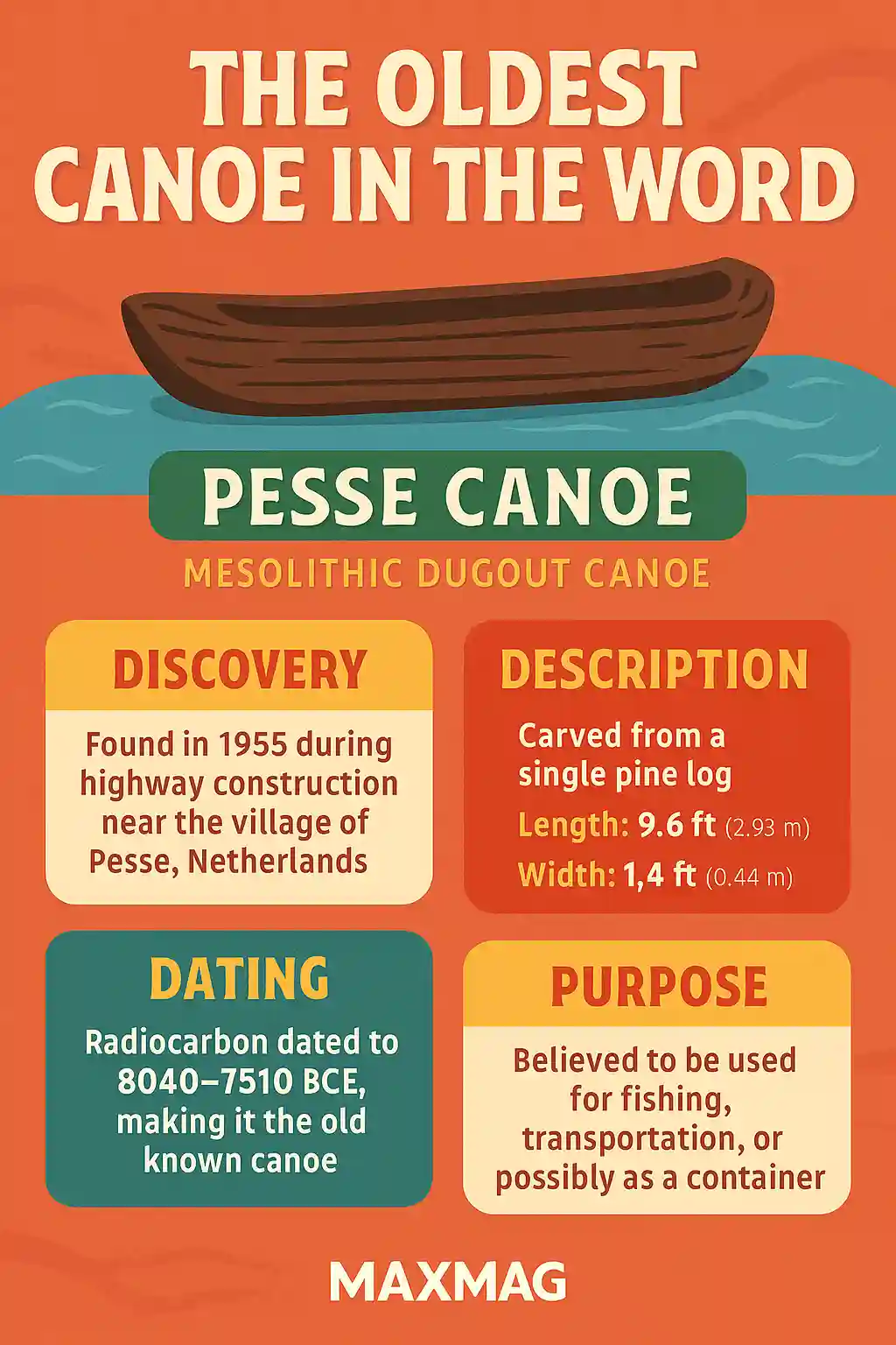 Infographic titled "The Oldest Canoe in the World," featuring a stylized wooden canoe on blue water with informational sections about the Pesse Canoe, including its discovery, description, dating, and purpose. Background is orange with the MAXMAG logo at the bottom center.