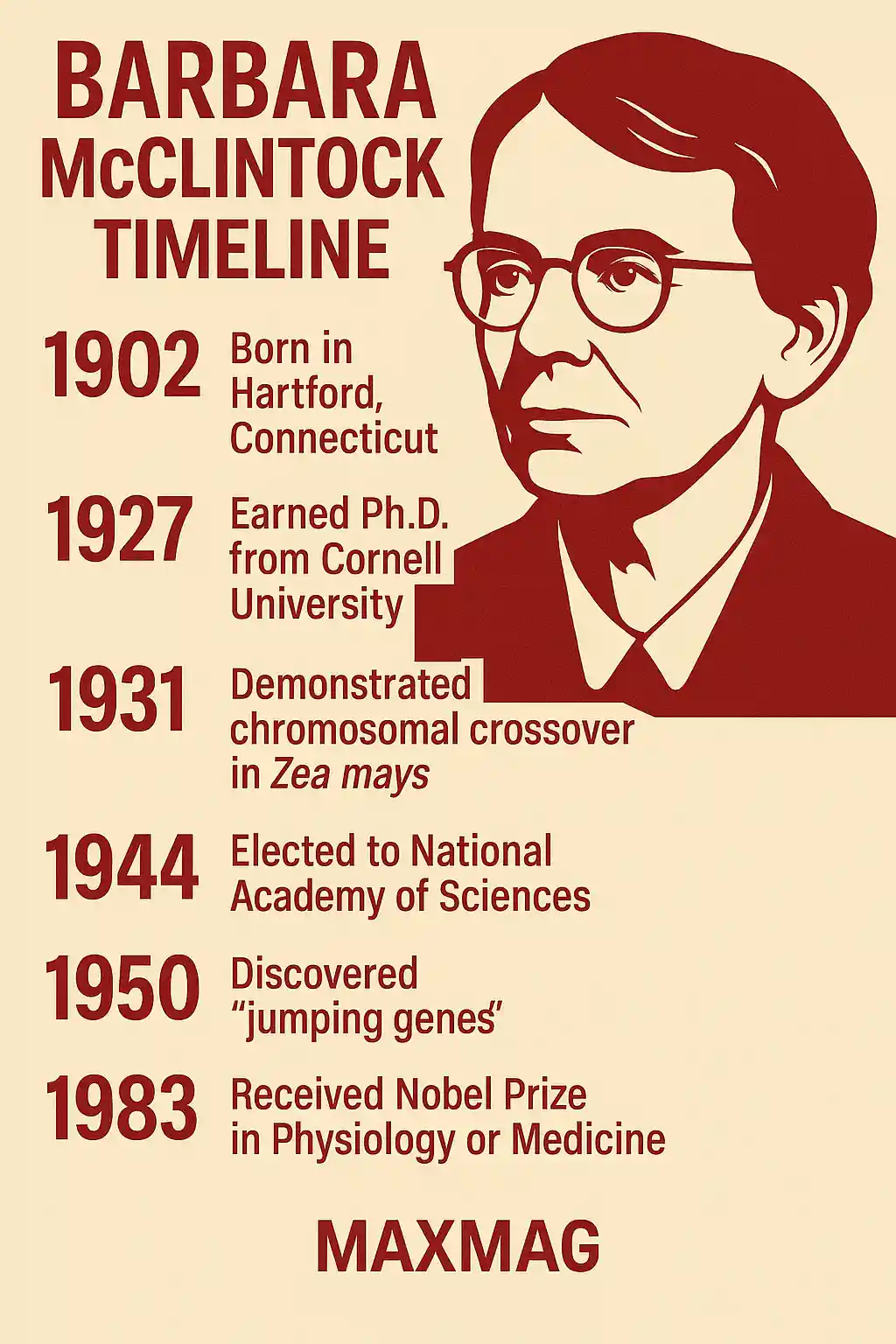Barbara McClintock timeline infographic featuring her portrait and six major milestones, including birth in 1902, Cornell Ph.D. in 1927, chromosomal crossover discovery in 1931, election to National Academy of Sciences in 1944, discovery of “jumping genes” in 1950, and Nobel Prize in 1983; MAXMAG logo at the bottom center.