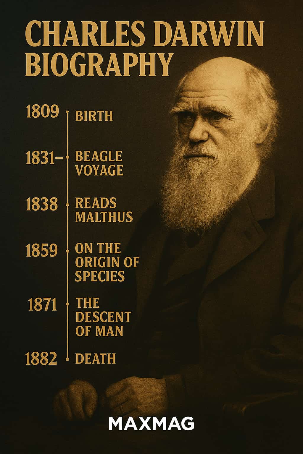 Cinematic-style timeline infographic for a Charles Darwin biography, showing a sepia-toned portrait of Darwin on the right and a vertical golden timeline on the left with six milestones: 1809 Birth, 1831–36 Beagle voyage, 1838 reads Malthus, 1859 On the Origin of Species, 1871 The Descent of Man, and 1882 Death, with “MAXMAG” branded at the bottom centre.